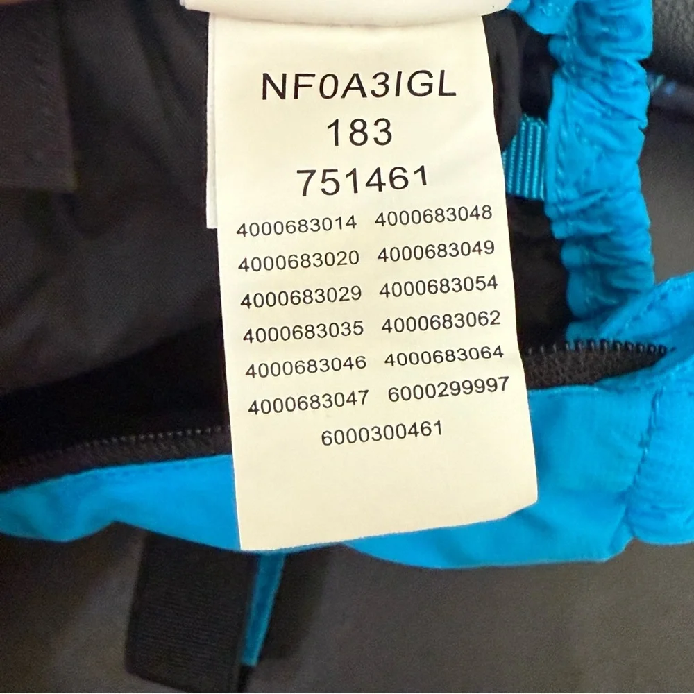 THE NORTH FACE Blue DryVent Toddler Unisex Mittens Gloves Size L